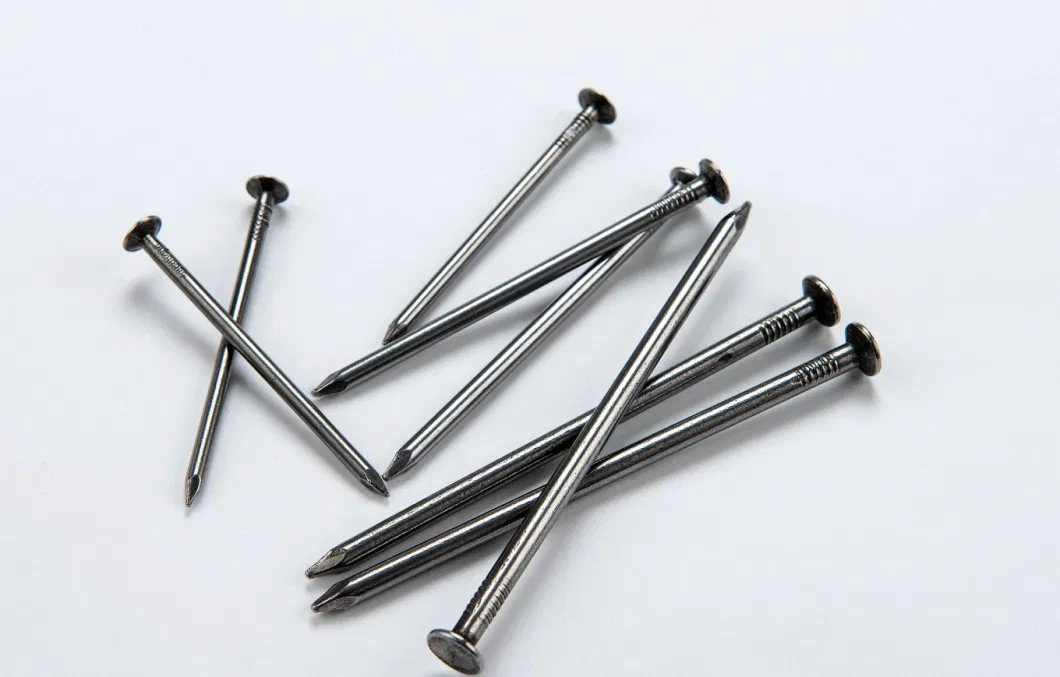 High Quality Steel Wire Nails Manufacturer in China with Polished and Bright Point