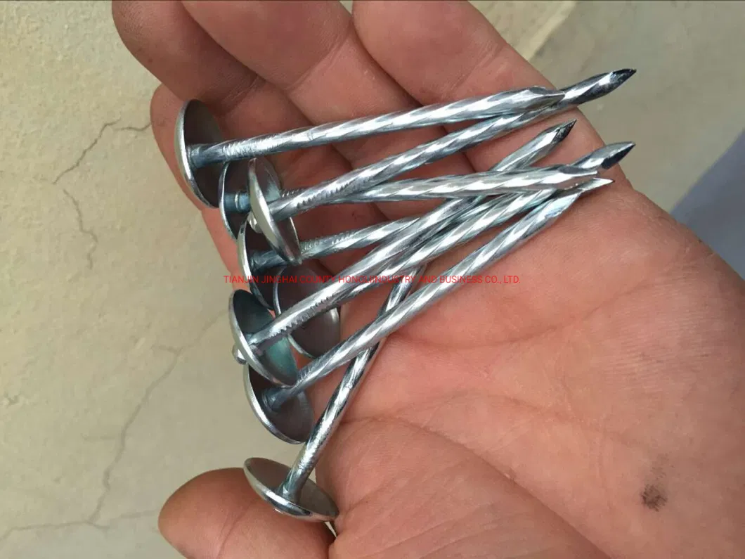 China Wholesale Galvanized Smooth / Twisted Shank 9bwg X 2.5&quot;10bwg X 2&quot; 12bwg 7lbs 8boxes 3.125kg / Box Umbrella Head Roofing Nails