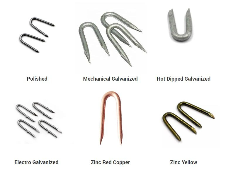 U Staples /Fence /SOD / U Type Barbed Nail