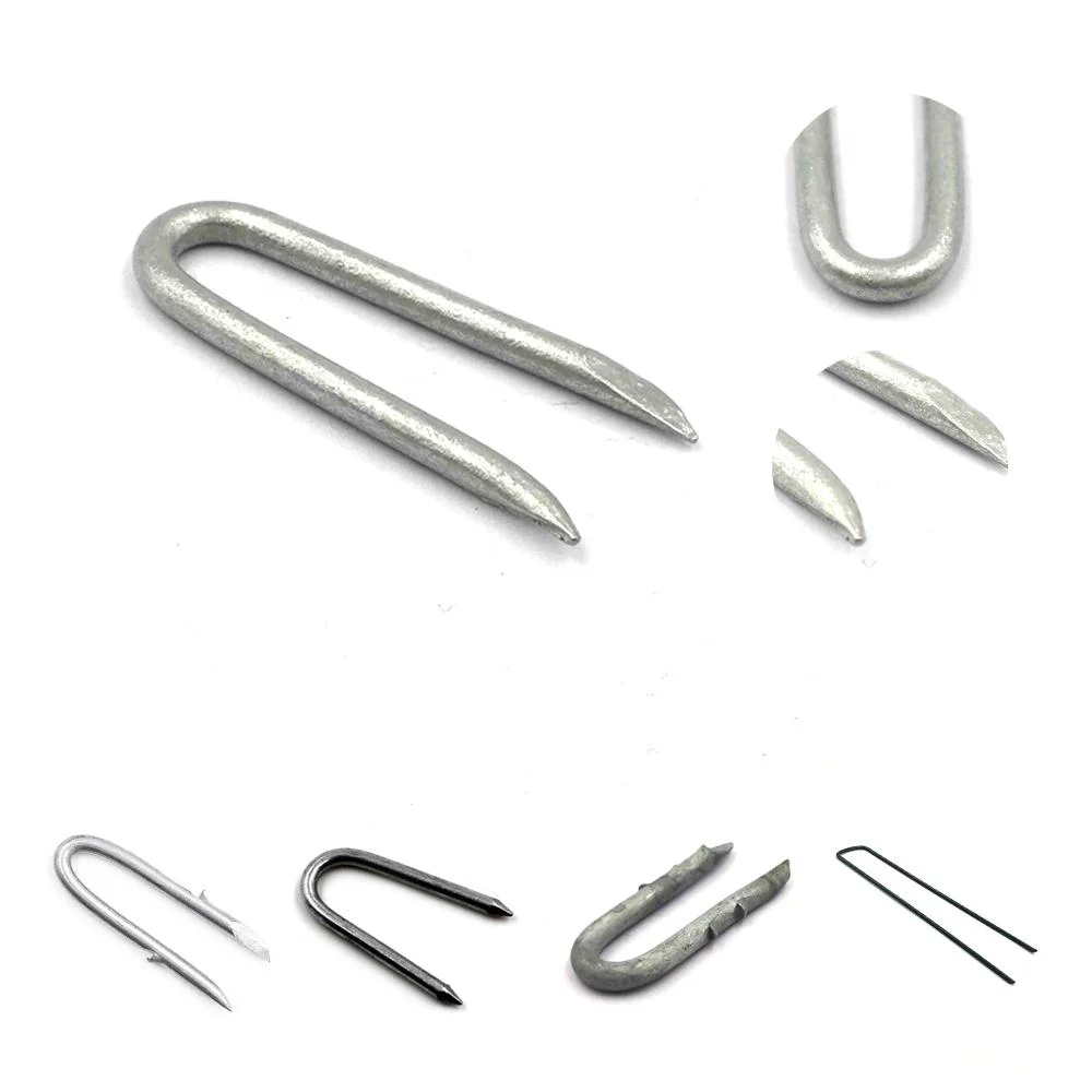 U Staples /Fence /SOD / U Type Barbed Nail