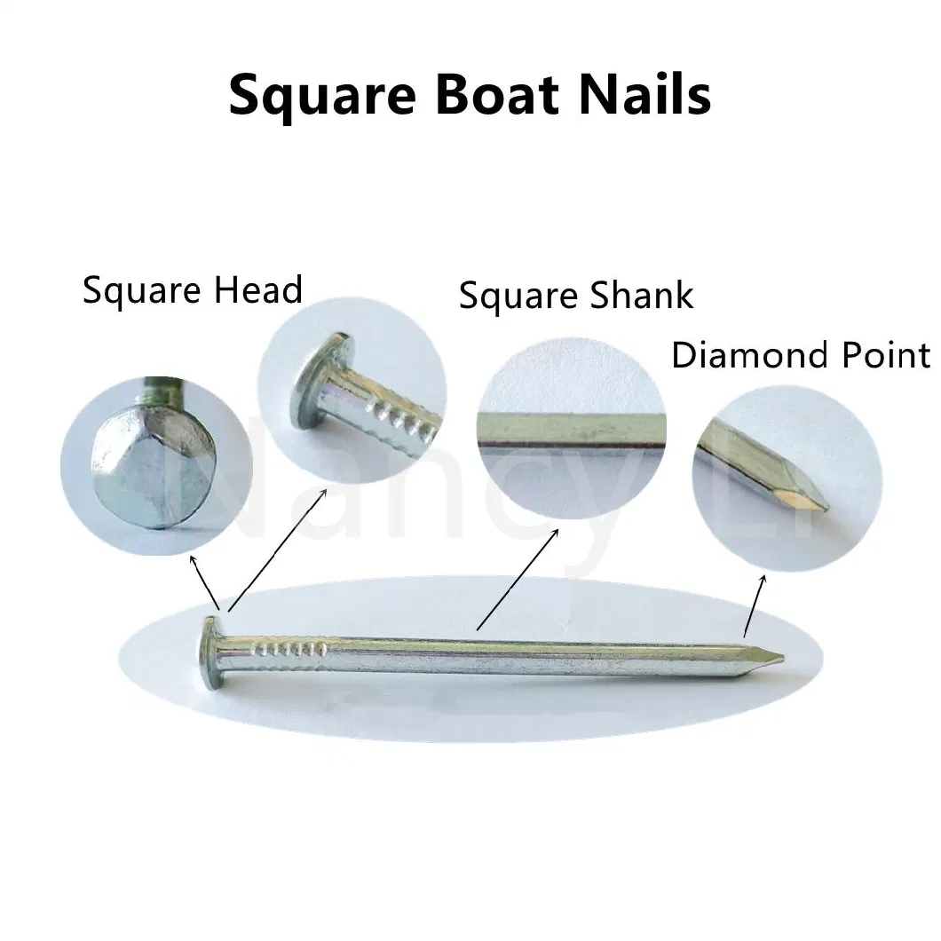 4&quot; Electro Galvanized Square Shank Boat Nails Bulk Square Nails