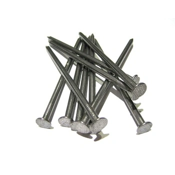 Cheap Common Nail/Steel Nail /Iron Nail/ Wire Nail/Coil Nails/Concrete Nails/Roofing Nails/ Pallet Nails/Hardware/Framing Nails/Spiral Nails