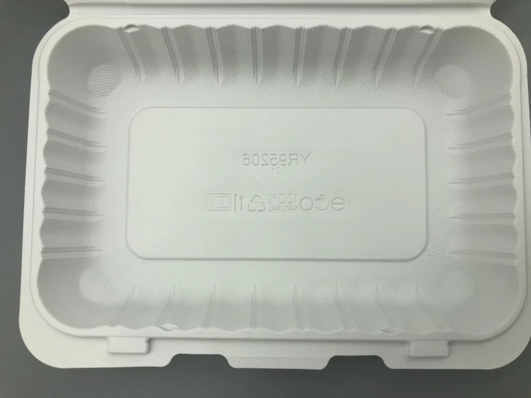 Hotel&amp; Restaurant Food Package Using Disposable Packaging Box