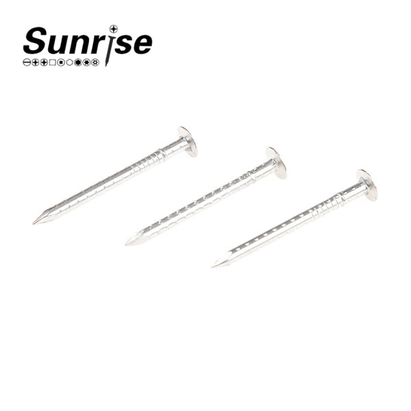 Hollow Shank Clout Nails Screws, Four Hollow-Jagged Shank Nails