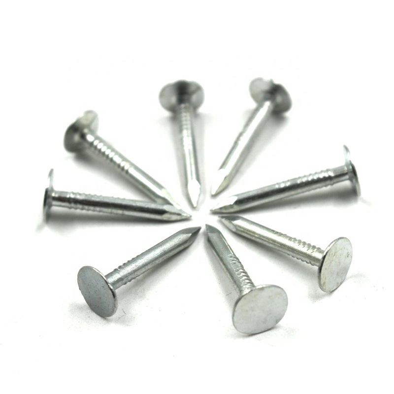 China Concrete Cupper Nails Roofing Nails