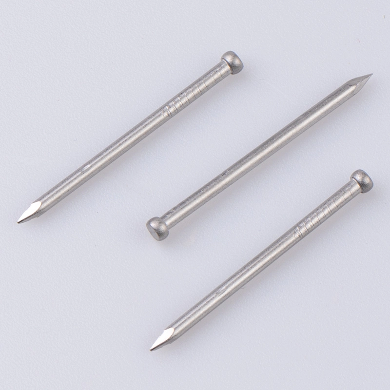 Factory Wholesale 304 Stainless Steel Passivated Metal Nail