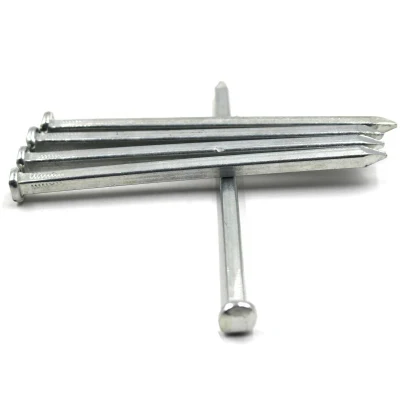 Bwg16-Bwg4 (1,65mm-6,05mm) Nail Square Shik Square de Electro Galvanized