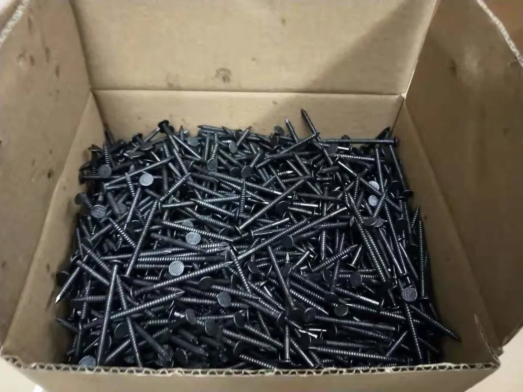 Black Ring Shank Roofing Nail 3.5X50mm Iron Nails 5kg Per Carton for Nigeria Market