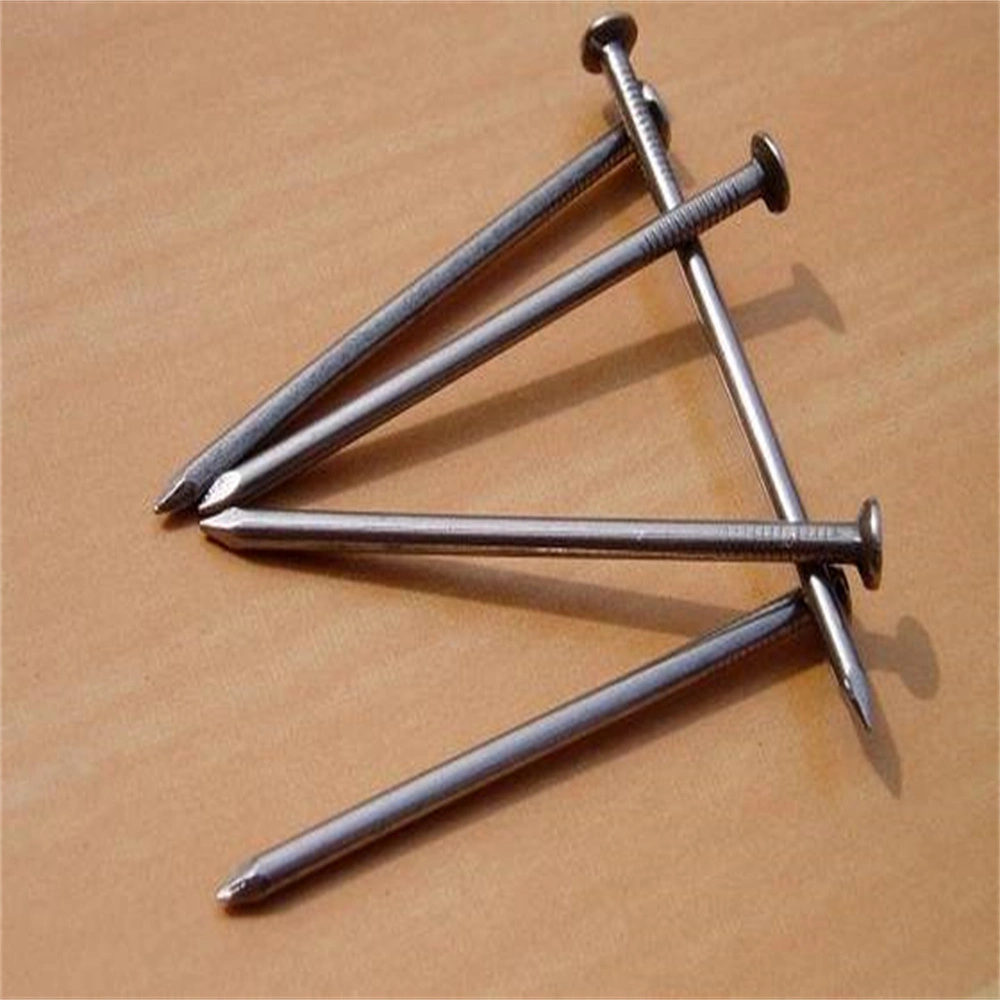 Stainless Steel Concrete Nail