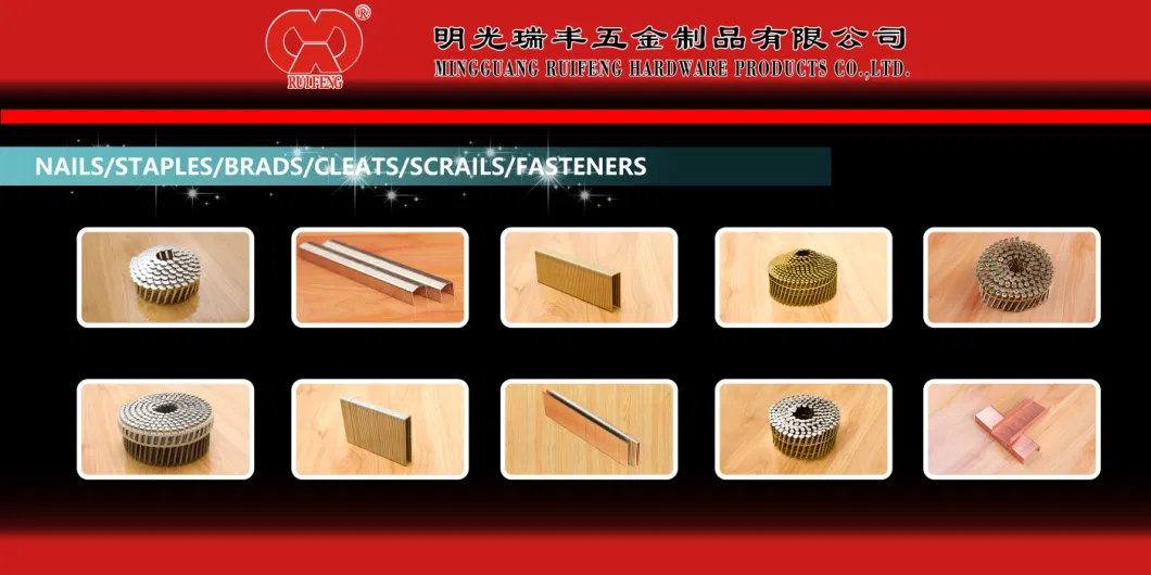 Hardware Fastener Latest Price Collated D Style Hog Ring Collated Nails.