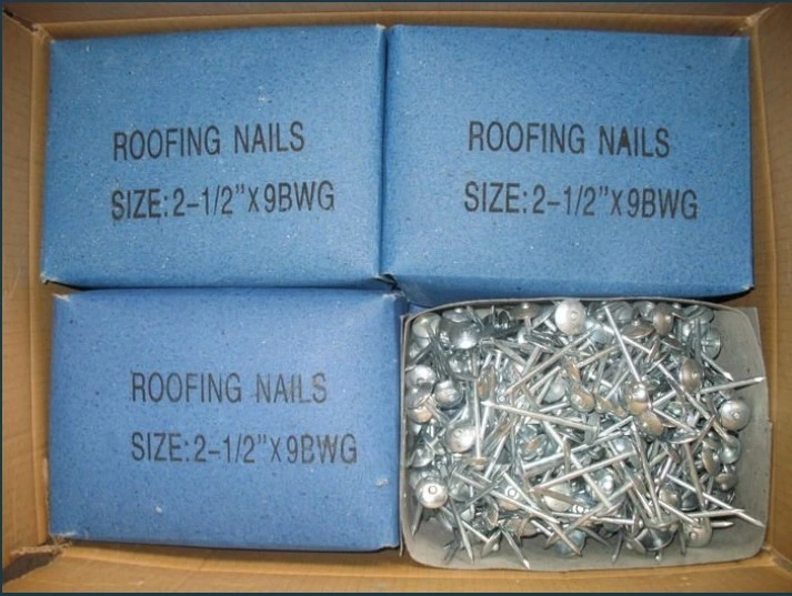 Factory Galvanized Twist Shank Roofing Nails Umbrella Head Nail Roofing Nails with Rubber Washer