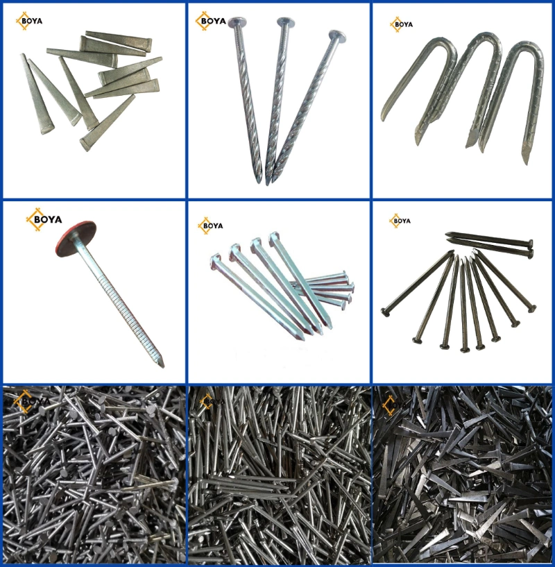 Galvanized Grooved Concrete Nail for Cement Common Nail