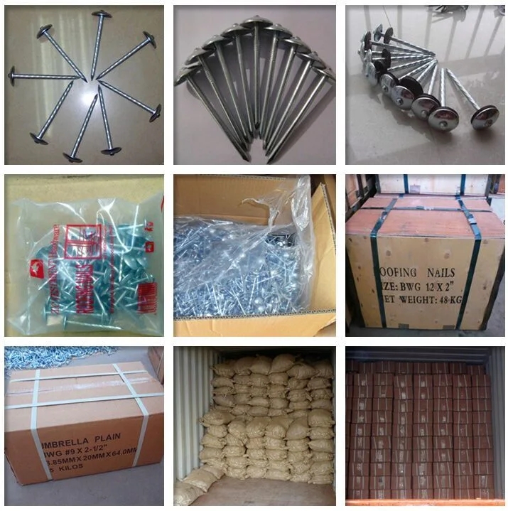 Factory Cheap Price 2&quot; 2.5&quot; Galvanized Roofing Nails Smooth/Twisted Shank Umbrella Head Concrete Nails /Cupper Nails /Shoe Tack /Twisted Nail/Clavo Corrugado