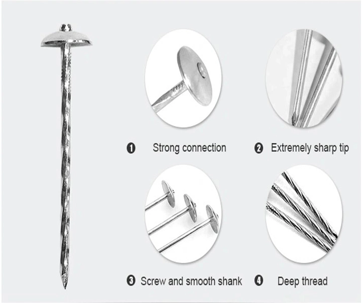 Manufacturers Supply Galvanized and Polished Corrugated Nails Straight Nail Umbrella Head Roofing Nails