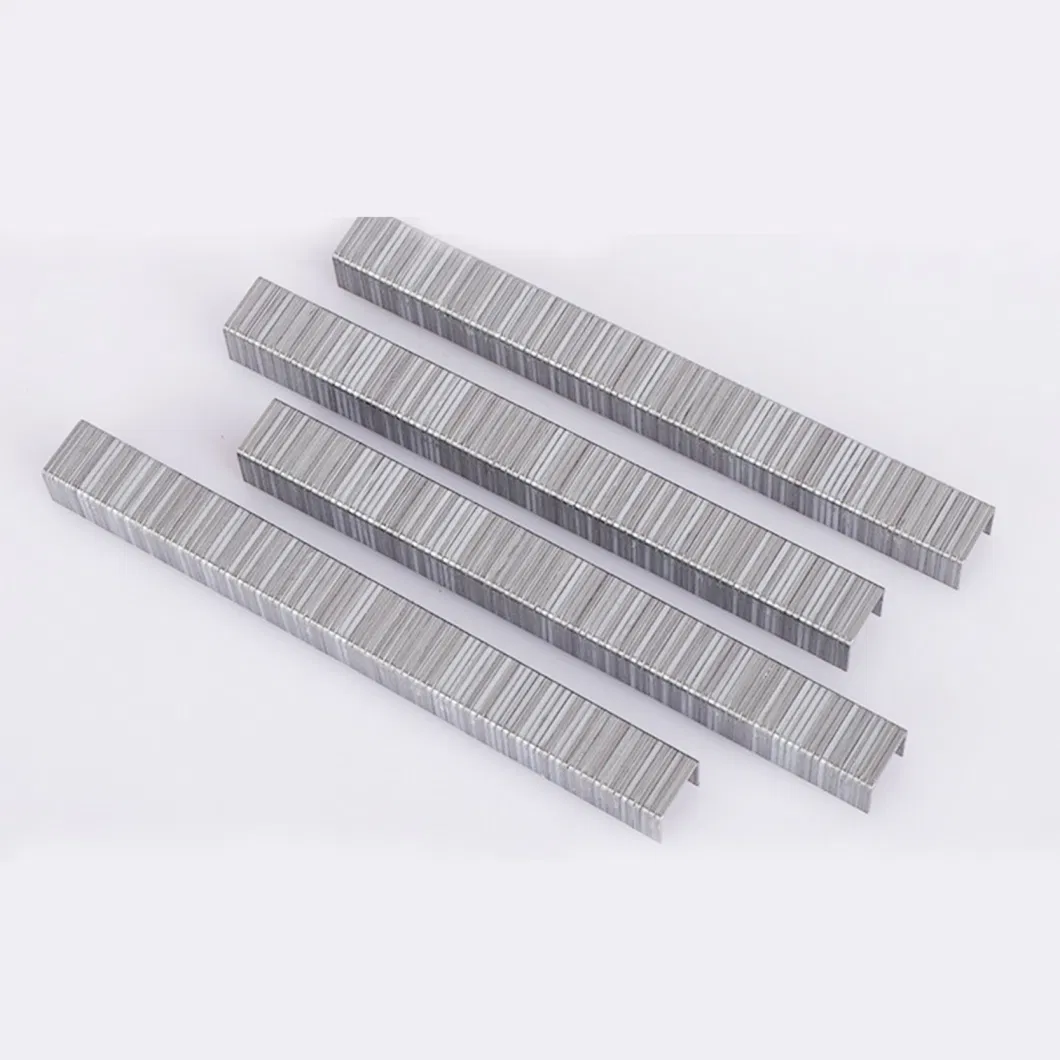 Square Common Nails Electro Galvanized for Boat Electro Galvanized Square Shank Boat Nails