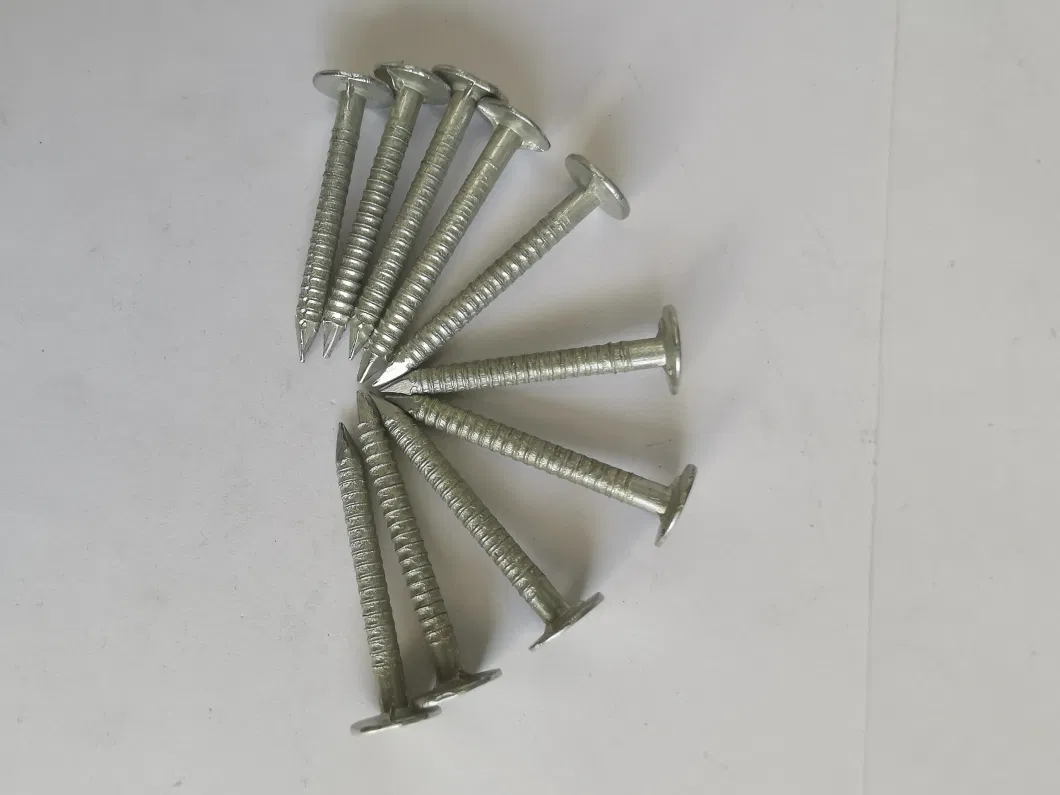 China Hot Sale Ring Shank Round Metal Cap Nails