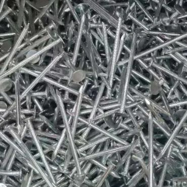 Nail Galvanised Clout Nails - 25 X 3.05mm - Bulk Box