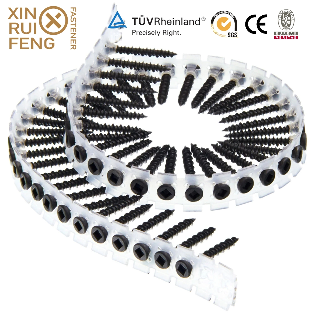 Xinruifeng Fasteners Zinc Ruspert pH. Torx Square Pozi Drive Bugle Csk Head Band Collated Hi Lo Thread Self Tapping Drilling Wood Chipboard Deck Drywall Screws