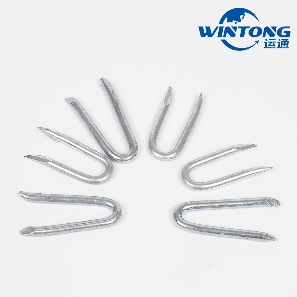 Q195 Turf Nail/U-Shaped Cold Drawing Lawn Nail/Special for Gardening Construction/Turf Nail