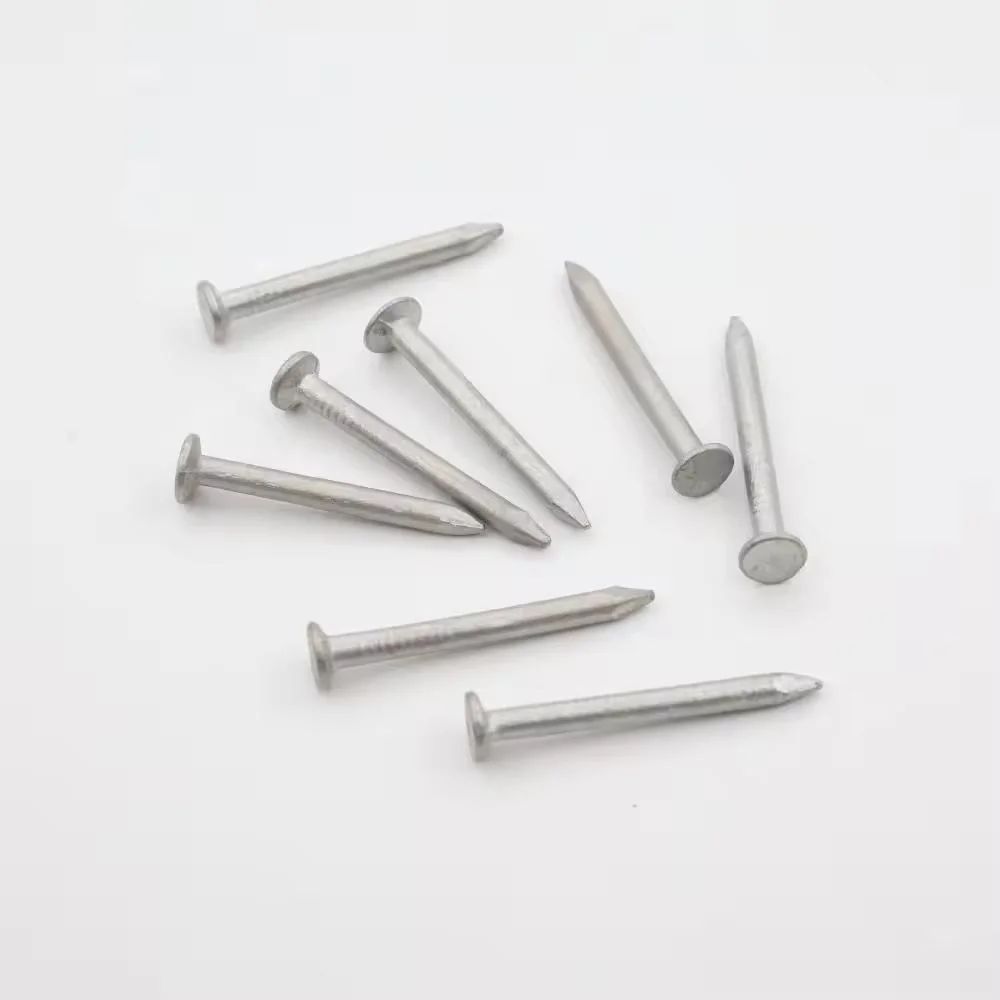 Steel Iron Shiny Galvanized Big Flat Head Common Nails Roofing Felt Clout Nail