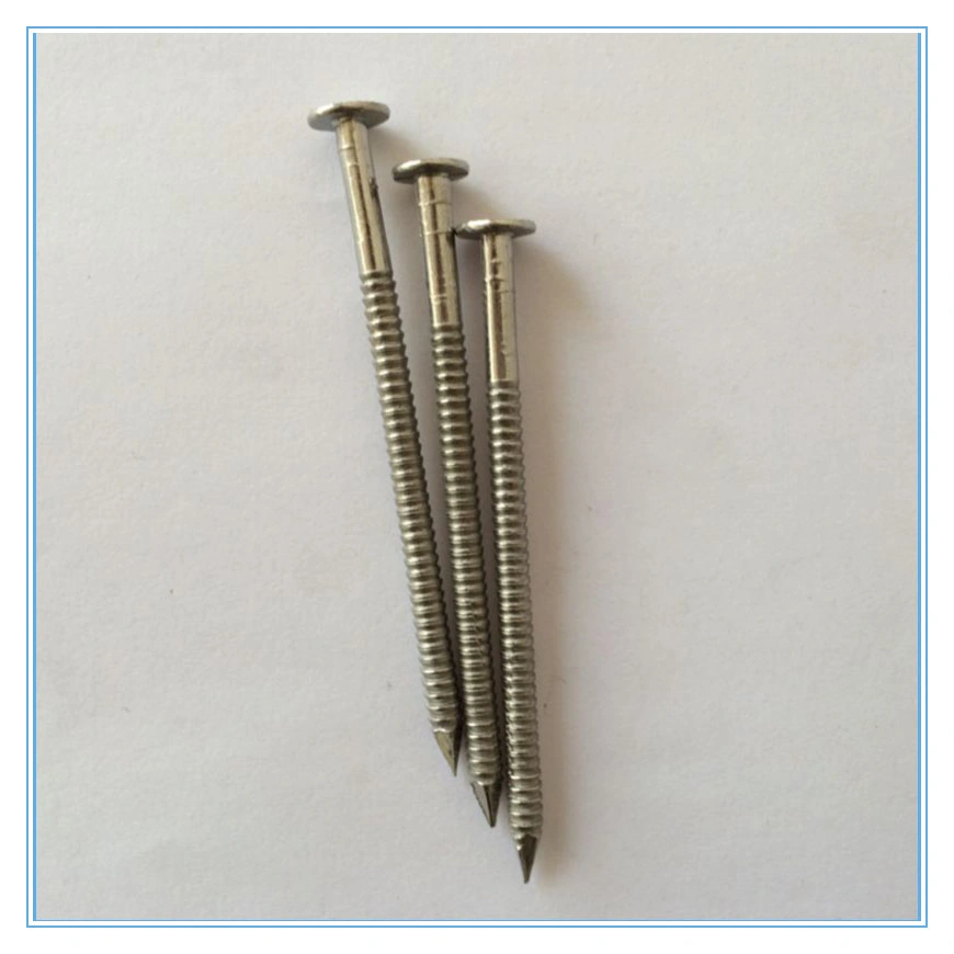 Galvanzied Screw Ring Twist Shank Nail