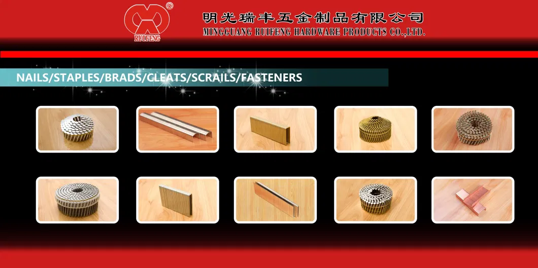 Length: 6.0mm W6 Series Corrugated Fasteners Ruifeng Brand Steel Nail