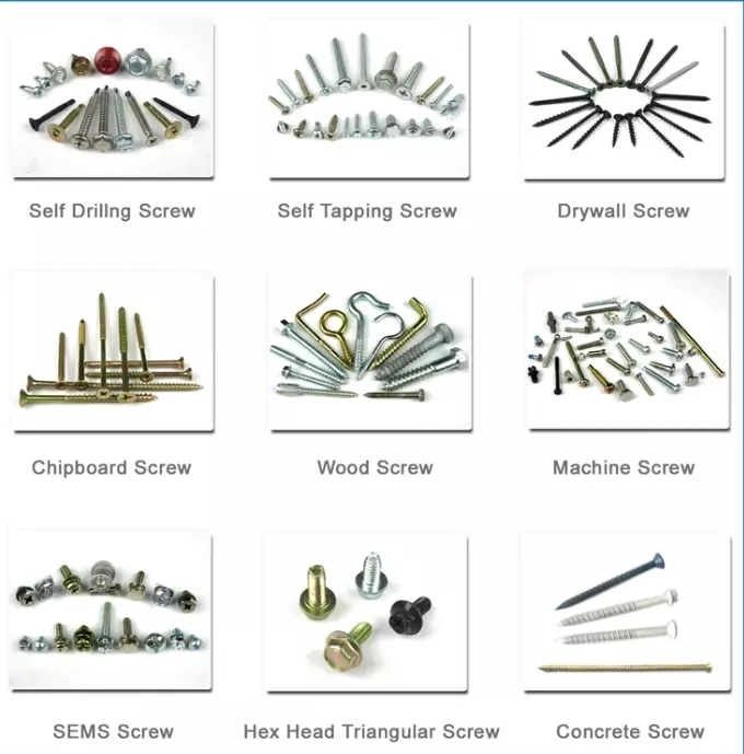 Wholesale Galvanized Bugle Head Phillips Drive Self-Drilling Drywall Screws