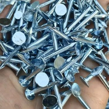 Clout Roofing Nails/Roofing Nails /Felt Nails /Large-Head Roofing Nails/ Roofing Linoleum Nails/ Have a Large Flat Head