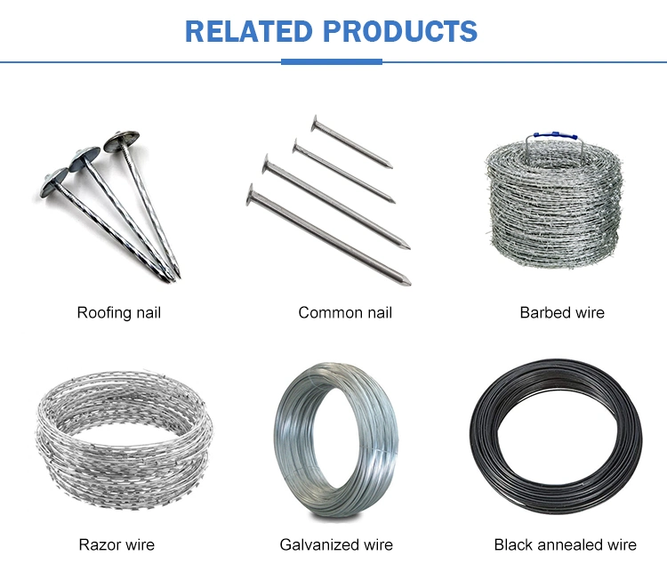 All Sizes Steel Gal Cement Nails for pneumatic Nail Gun