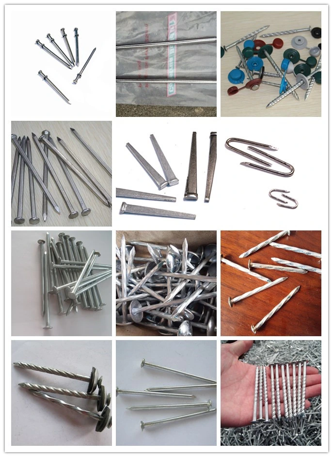 Electro Galvanized Roofing Nails with Big Head