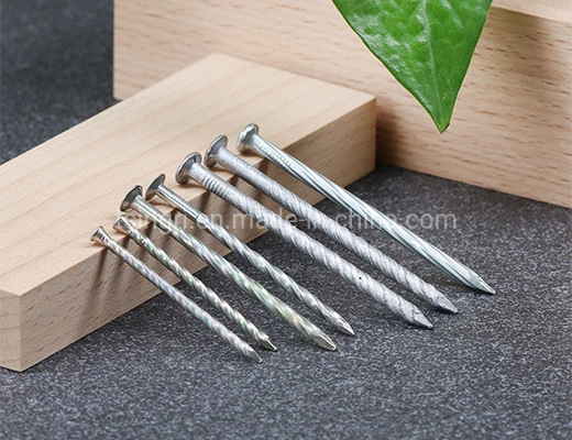 TGR/Tsingri Stainless Steel Flat Round Water Head Spiral Shank Concrete Nails Knurled Body Nails