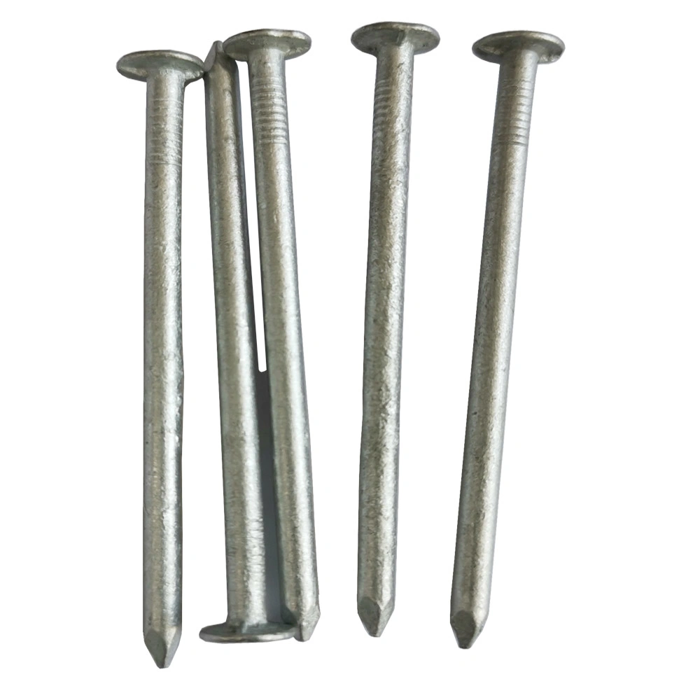 Wholesale Hot Dipped Galvanized Common Nail with High Quality