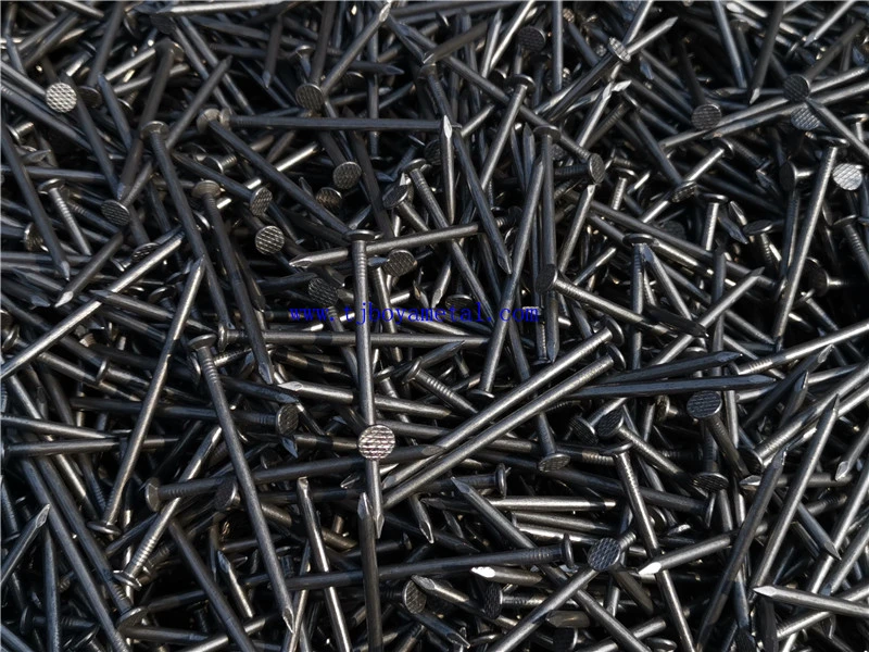 Hot Dipped Galvanized Wood Construction Common Iron Nail