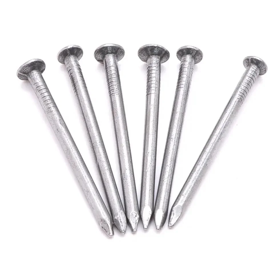 Hot Dipped Galvanized Polished Smooth Shank Common Iron Wood Nail/Clavos for Building