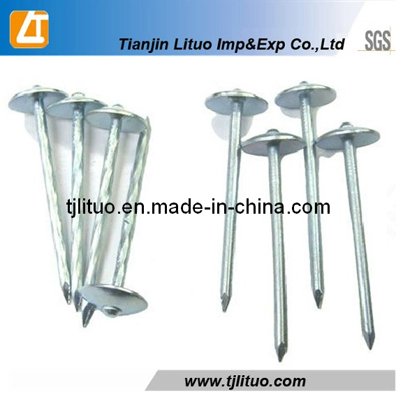 Electro Galvanized Umbrella Head Roofing Nails