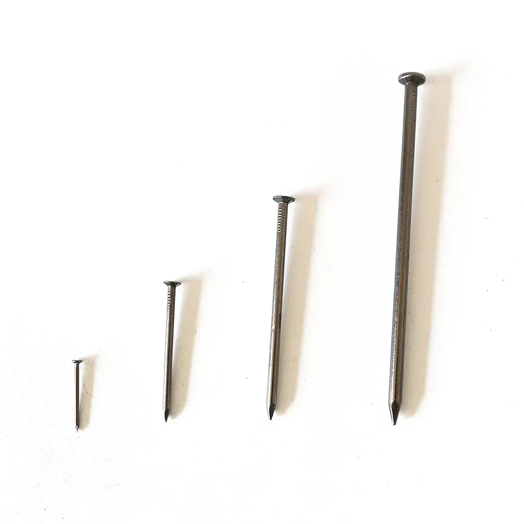 Round Head / Smooth Handle / Common Wire Nail / Wood Nail