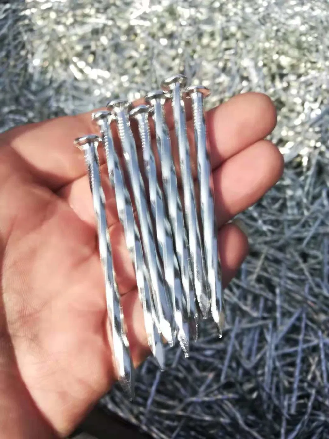 High Quality Galvanized Harden Concrete Steel Nails