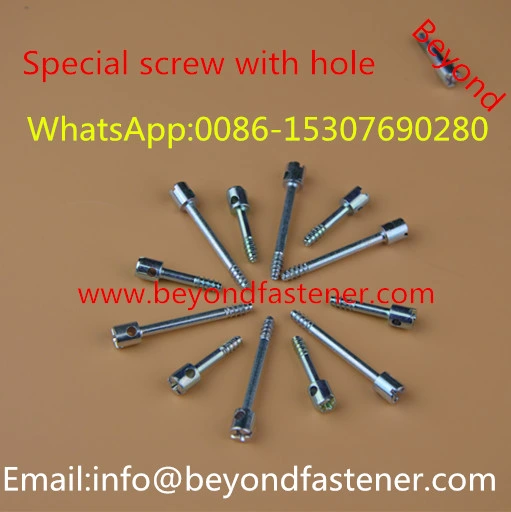 Terminal Screw/Bolts/Terminal Cover Screw/Fastener