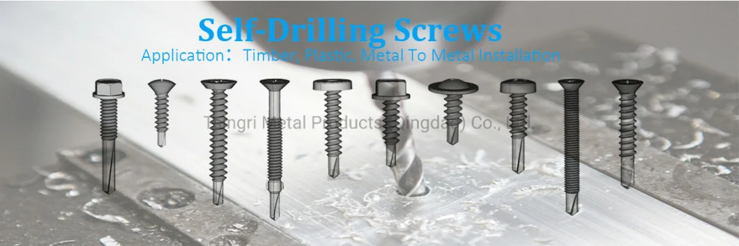 TGR/Tsingri Stainless Steel ANSI 410 316 Fine Thread Torx Flat Head Countersunk Self-Drilling Screws