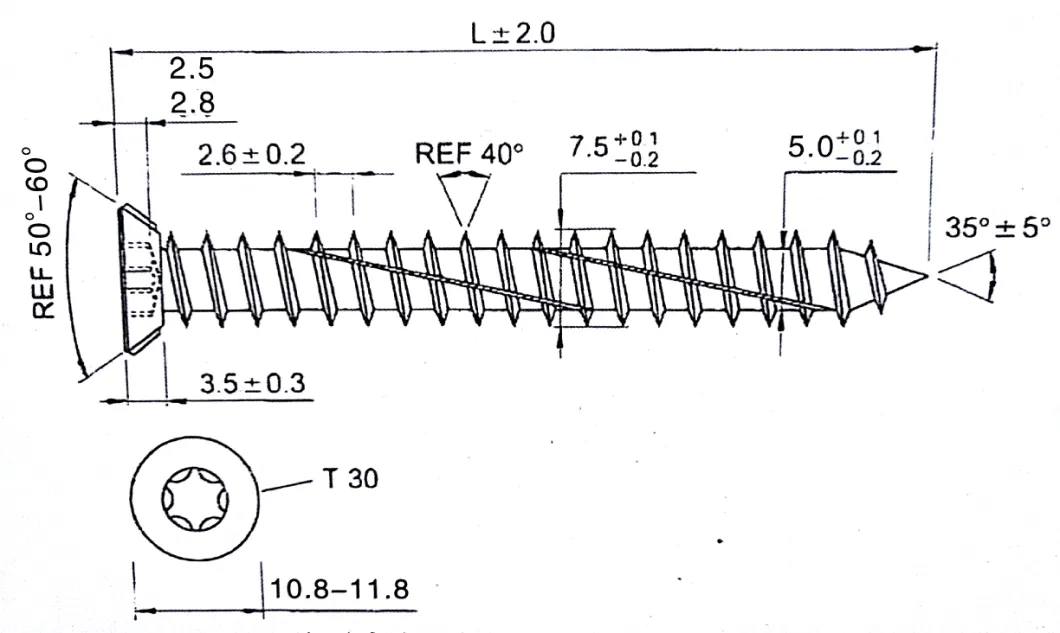 Zinc-Plated Concrete Screws/Torx Socket Screw