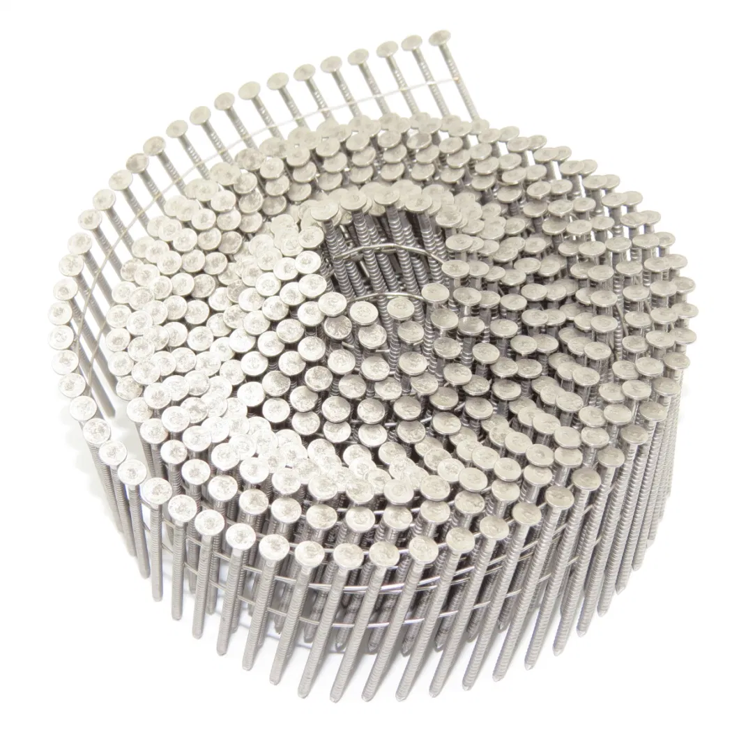 High Quality Stainless Steel Collated Coil Nails