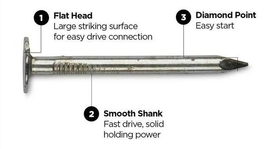 Clout Roofing Nails/Roofing Nails /Felt Nails /Large-Head Roofing Nails/ Roofing Linoleum Nails/ Have a Large Flat Head