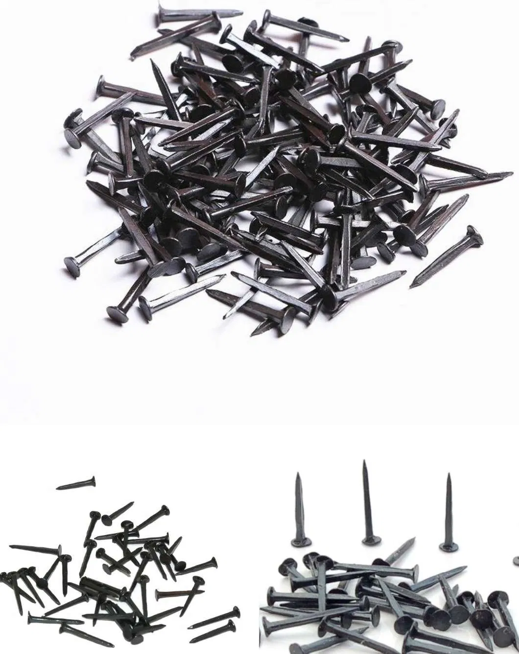 Popular 5/8&quot; 3/4&quot; 1/2&quot; 1&quot; Shoe Tack Nails with Good Quality