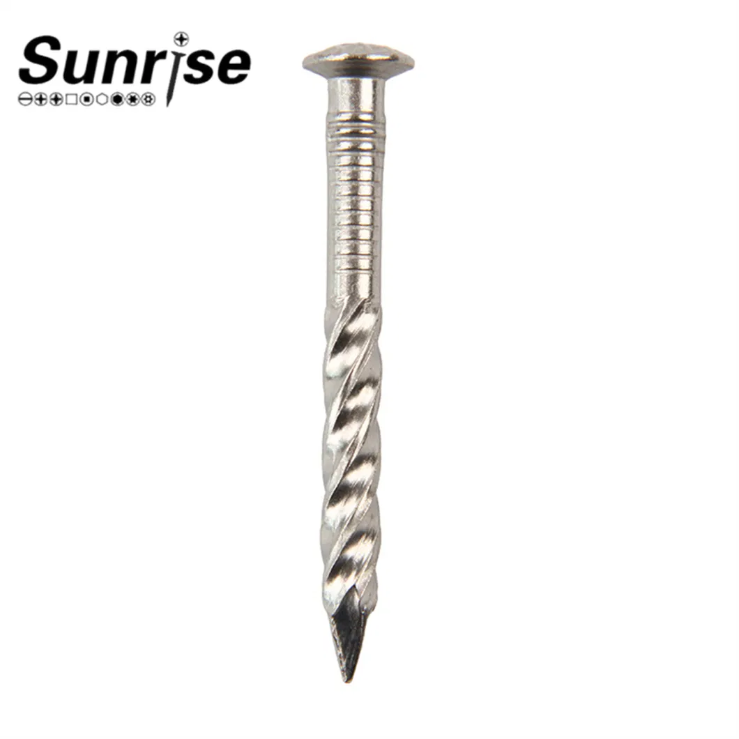 Various Head Types Stainless Steel Loose Nails Screws