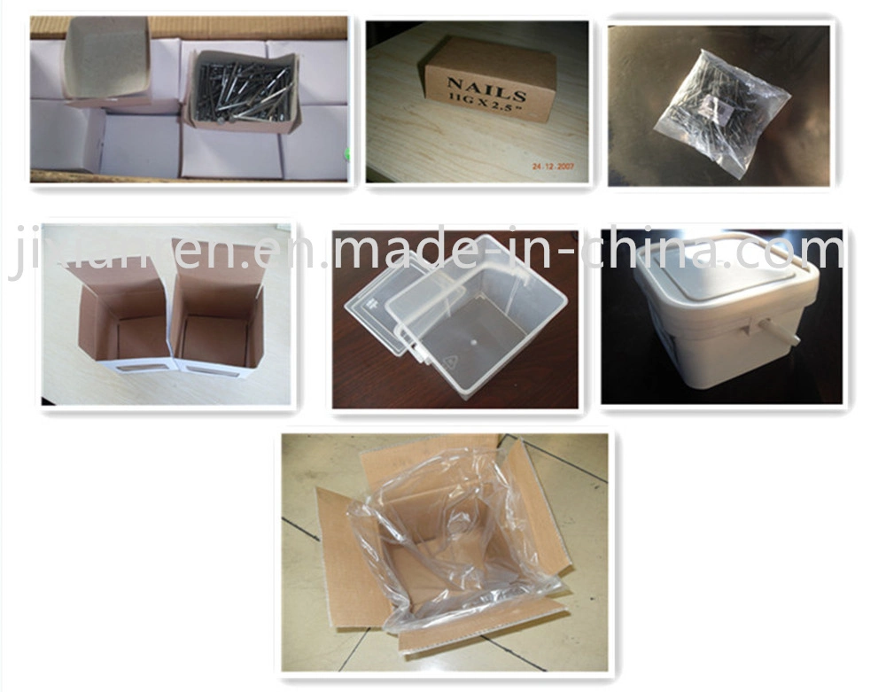 Common Nail/Building Nail/Wire Nail/Construction Nail/Iron Nail/Steel Nail