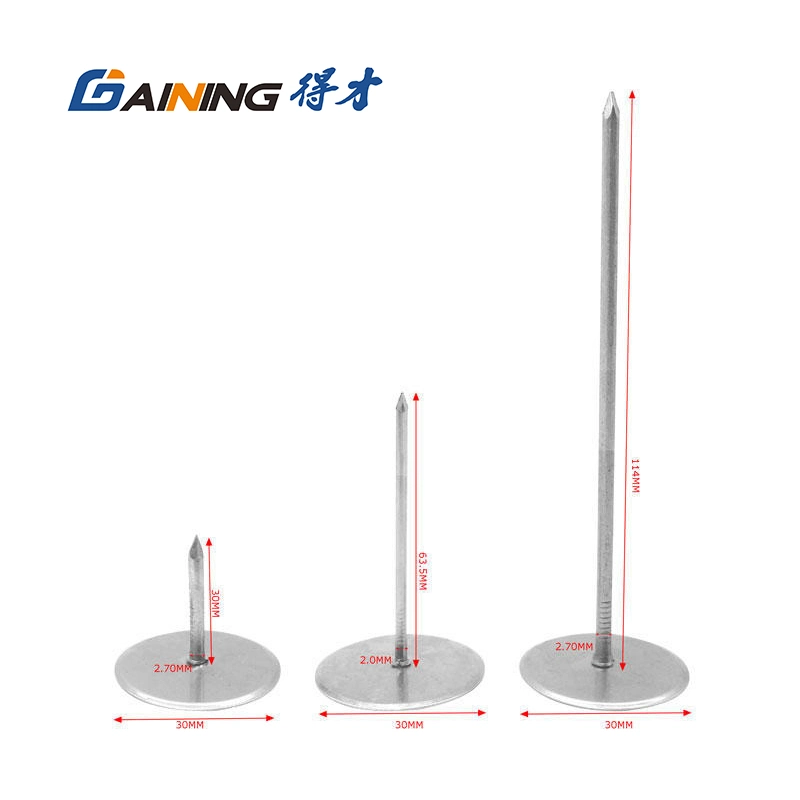 OEM Insulation Cup Head Pin and Nails