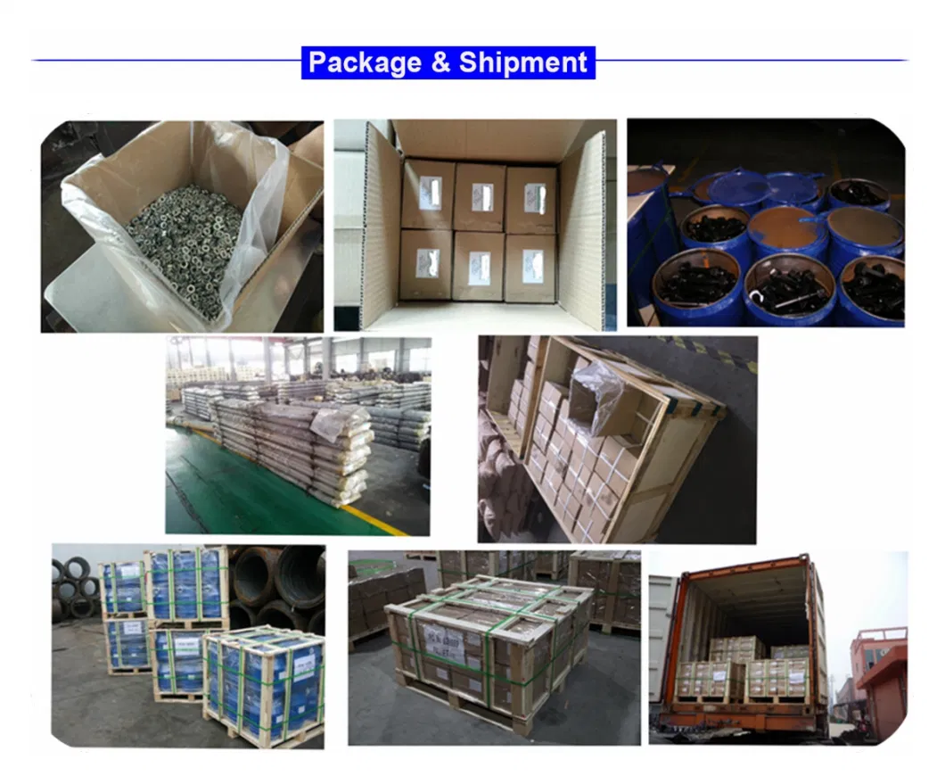 Chinese Fastener Factory Supplied Carbon Steel Zinc Plating and HDG Concrete Screws