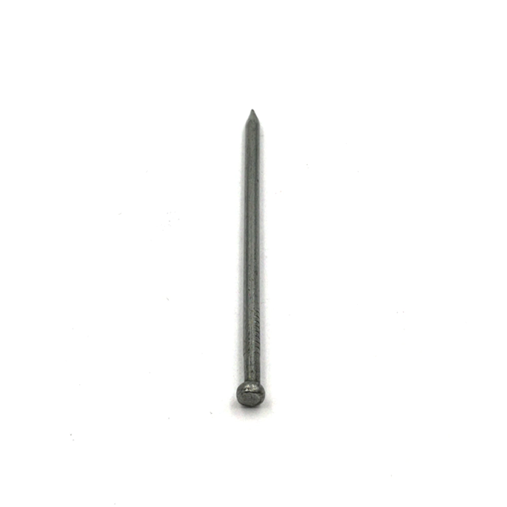 Factorylost Head Panel Pins Bullet Head Nails Common Nails Without Head Headless Nails Oval Nails for All Over The World Market