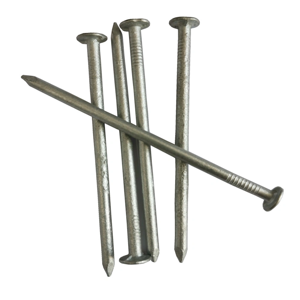 Wholesale Hot Dipped Galvanized Common Nail with High Quality