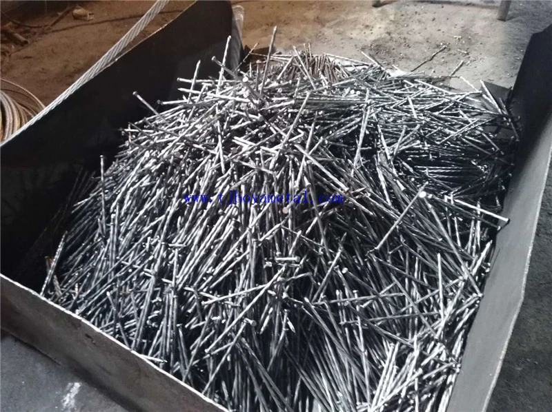 Hot Dipped Galvanized Wood Construction Common Iron Nail